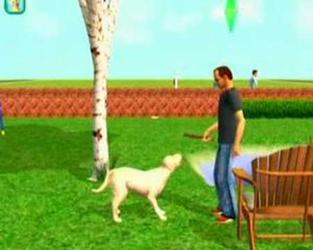 Imagen de previsualización de YouTube