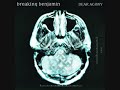 Breaking Benjamin Give Me A Sign+lyircs