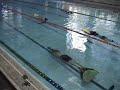 Simone Graffer Apnea Dinamica 154,70 mt. C.I. Roma 2004