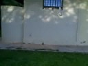 casa de playa 1