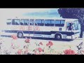 Centella de Plata