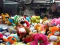 Matt winning Lael a stuffed animal at Wal-Mart
