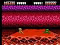 Battletoads NES in 24:57 by FODA