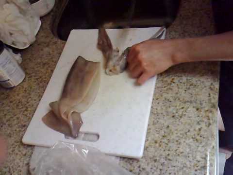 how to remove squid ink stains