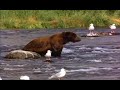 nick n alex_0001.wmv