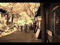 Beijing Hutong 北京 胡同