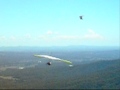 A busy morning at the Hang Glider Lookout opposite Camelot Cottages. Queueing up for takeoff!