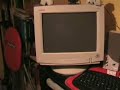 windows 2000