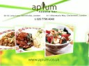 Apium Noodle Bar advert for Norwich airport screens