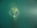 videos de secrets del mar parte 02.MPG