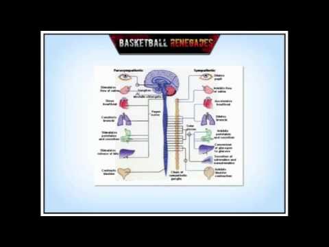 how to avoid overtraining