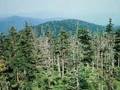 The Causes and Effects of Acidic Precipitation