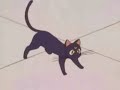 Sailor Moon Episode 17 Part 3 Sailor Moon Episode 17 Part 3