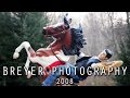 videos de My Breyer Horse Photography