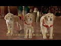 Santa Buddies- Deck the Halls - Sing A long