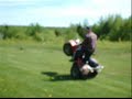 three wheeler madness 2 three wheeler madness 2