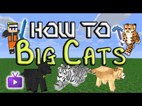 how to tame a cat in minecraft mo creatures