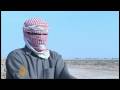 Camels crucial to Iraqi drugs trafficking - 23 Dec 08