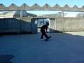 videos de game of skate ivan