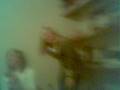 videos de lude cure