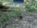 spiderman en capilla del monte parte 1