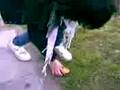 videos de Boludiando con las baspi !