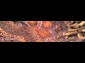 Cell Signals (Full length)