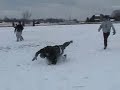 Turkeybowl 2003