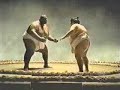Sumo