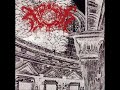 Xasthur - Bleak Necrotic Paleness