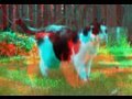 youtube 3D Player Test ( yt3d:enable=true )