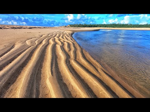 Caminhada pela Barra de Gramame