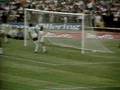 videos de Fluminense 4 x 0 Botafogo - 1980