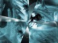 Verlier sie nie - Michael Wendler.wmv