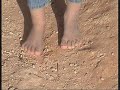 sahara  floods of the fields of refugees sahrauais