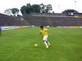 seal dribble