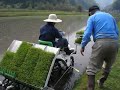 rice-planting (1) rice-planting (1)