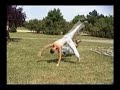 Capoeira Cavalaria Capoeira Cavalaria