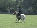CUADRO VERDE.01.wmv