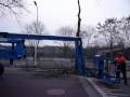 videos de De Genestetlaan bomen 2008
