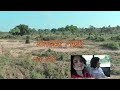 Kruger Park Safari