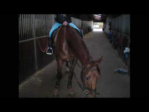 Binky =]