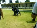 Bolita a Rubén