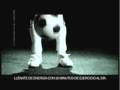 videos de Futbolito Bimbo 2009