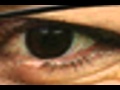 My Eyes on the Food or the Fish?