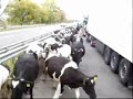 Ukrai?skie drogi... Ukrai?skie drogi...