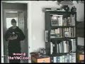 funny cats