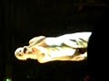 Pink Live In Nuernberg, Germany