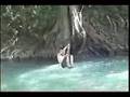 is a film made by Truman Phelps featuring what everyone started calling, "Tree Surfing". It was filmed in at Don's Fish and Swim Camp on the