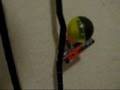K'nex Wall Ball Machine